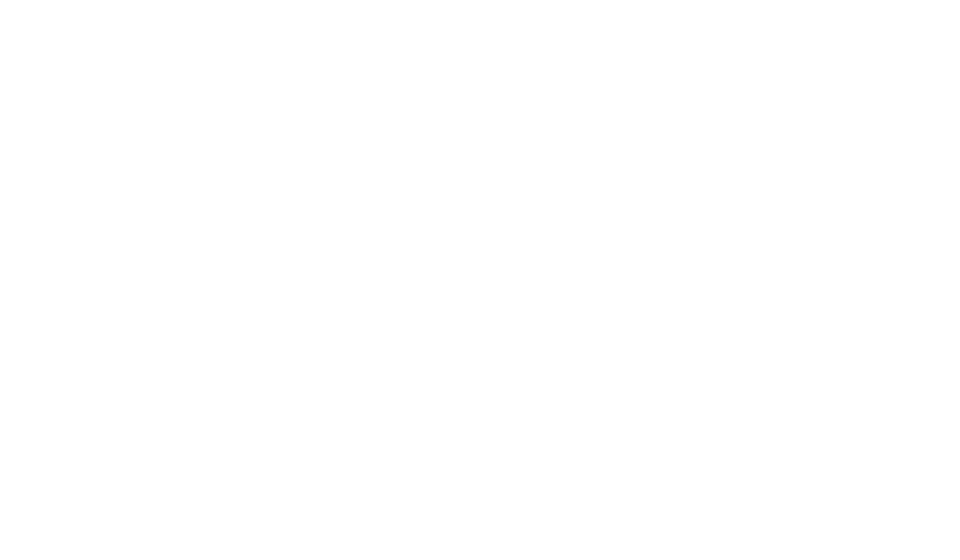 Travellers Logo