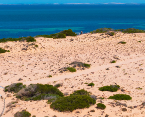 Shark Bay
