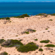 Shark Bay